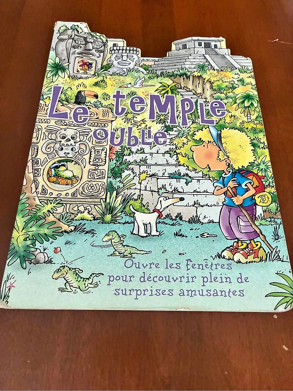 Fleurus Indira et Jones - Le temple oublié Activity Book